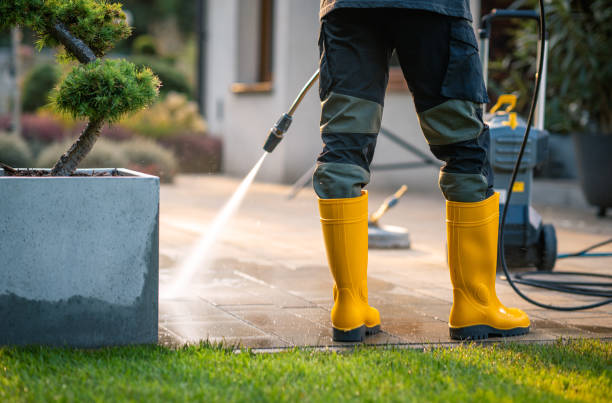 Best Deck Cleaning Services  in Cadiz, KY